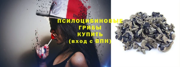 сатива Абинск