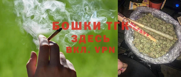 сатива Абинск